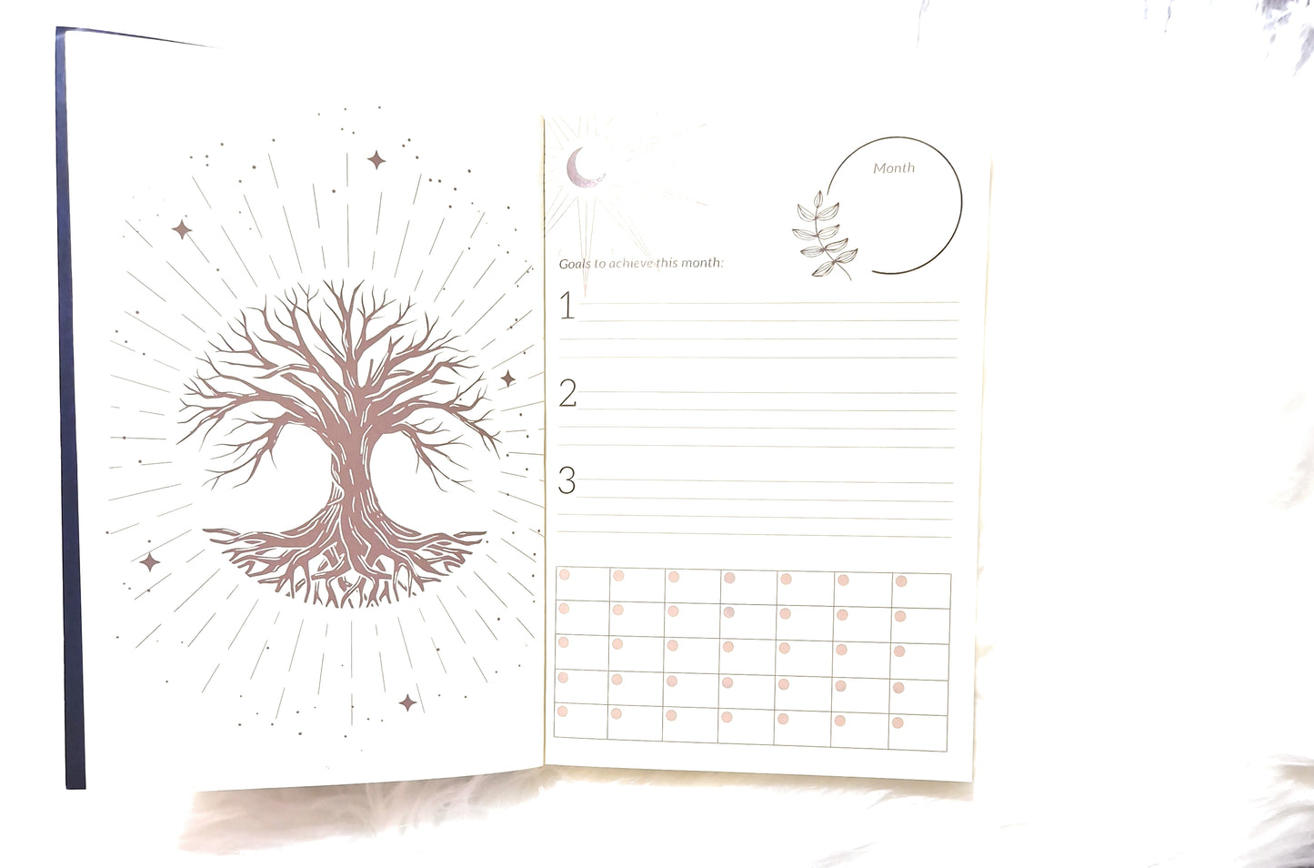 Manifestation Journal.