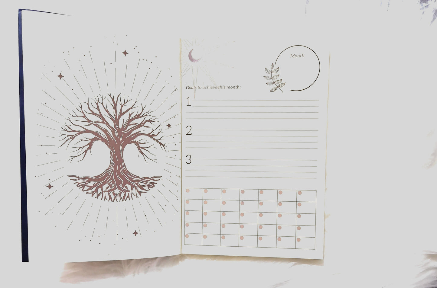 Manifestation Journal.